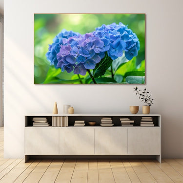 Hydrangea Canvas Print